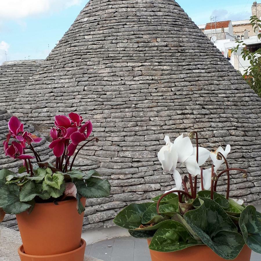 Historich House Largo Martellotta 44 Villa Alberobello Eksteriør billede